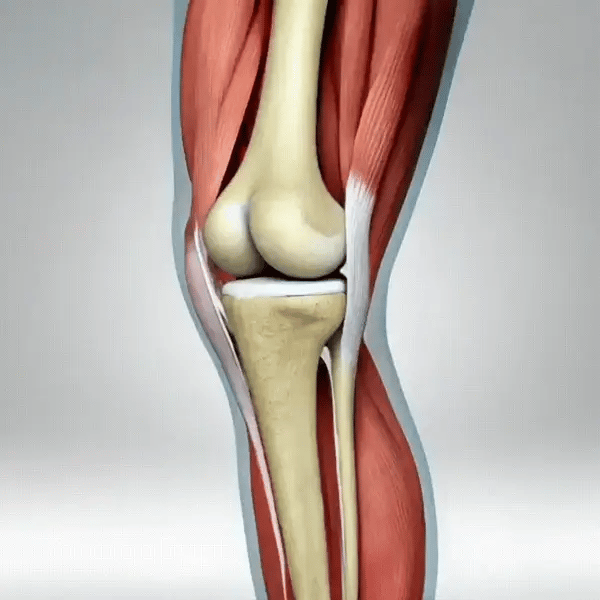 Neutraliza el cansancio