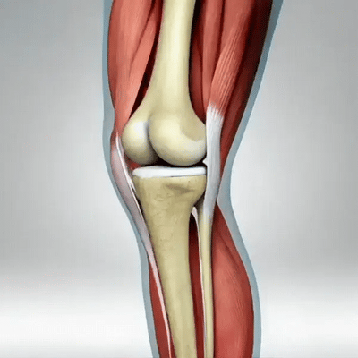 Masajeador de rodilla